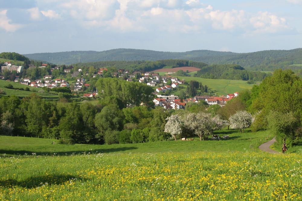 Wald-Michelbach Frühling